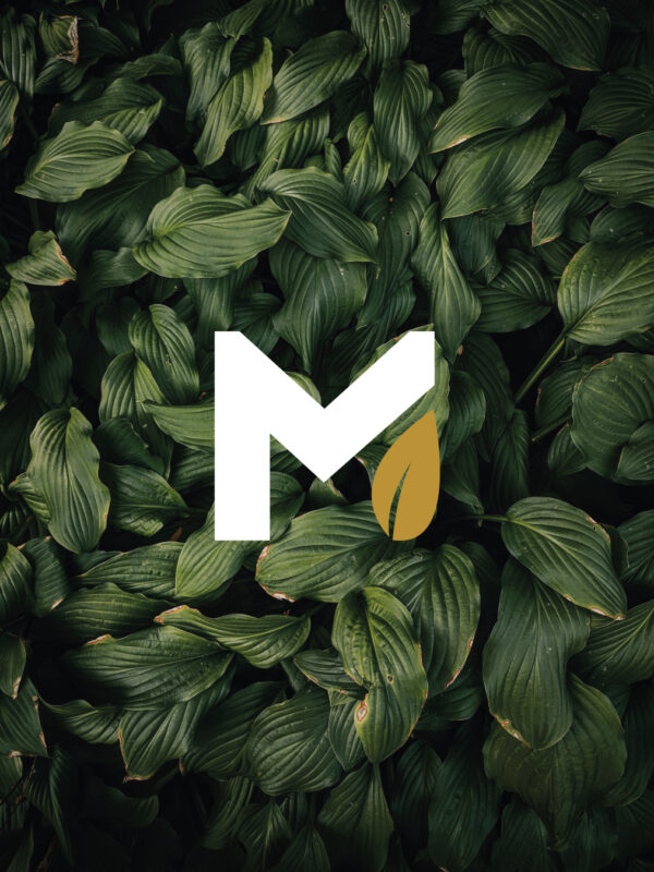 maillet-droite2 sigle moodboard paysagiste amenagement extérieur maillet