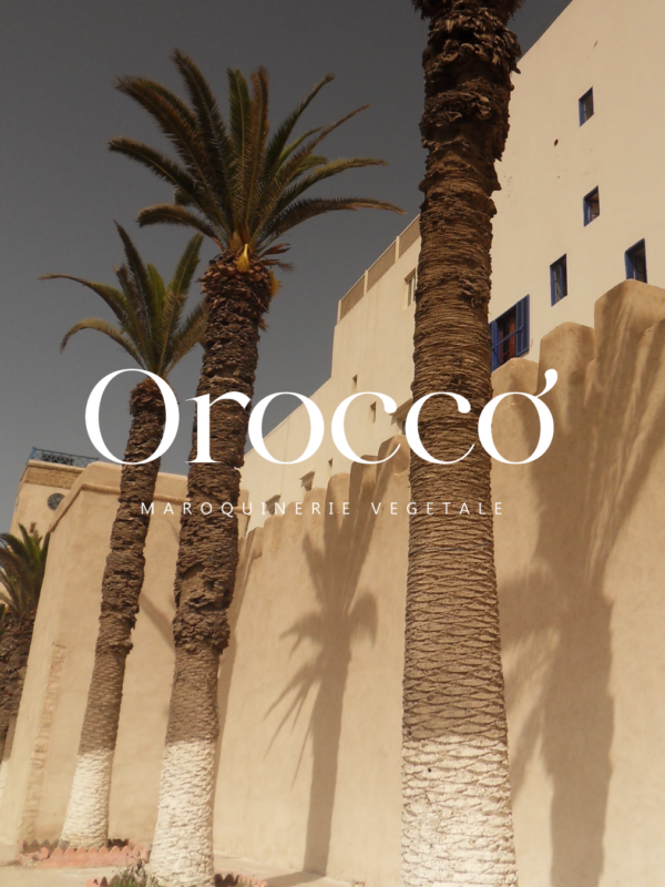 orocco7 identite visuelle maroquinerie orocco maroc palmiers