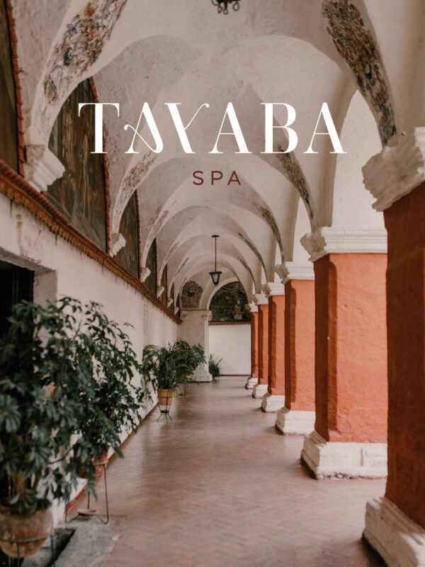 tayaba-droite2 identite visuelle tayaba spa sens