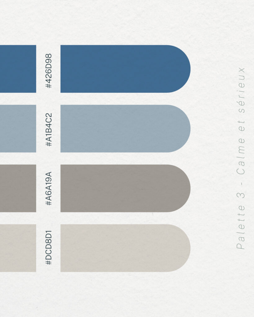 couleurs-bleu6 exemple palette couleur bleu pastel gris