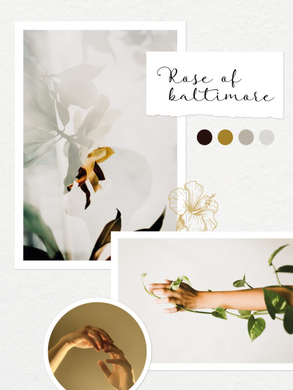 cleho-reflexo_centre5 moodboard identité réflexologue jaune moutarde orchidée