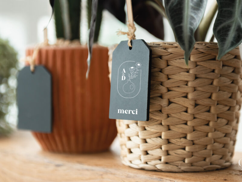 aby&dan5 identité visuelle logo céramiste fleuriste aby&dan