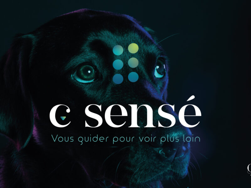 4 logo identité visuelle c sensé angers