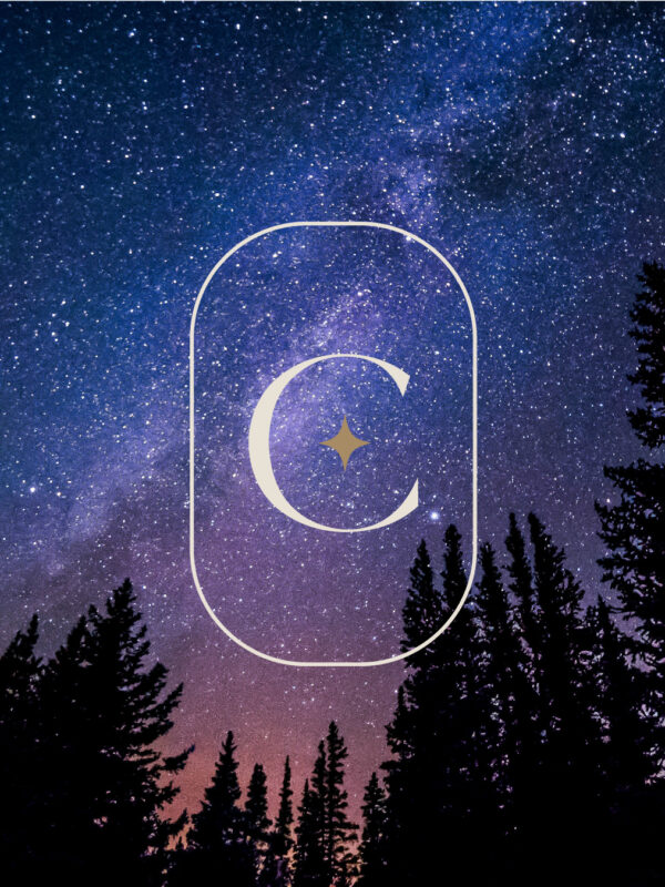 constella-droite3 constella-droite3