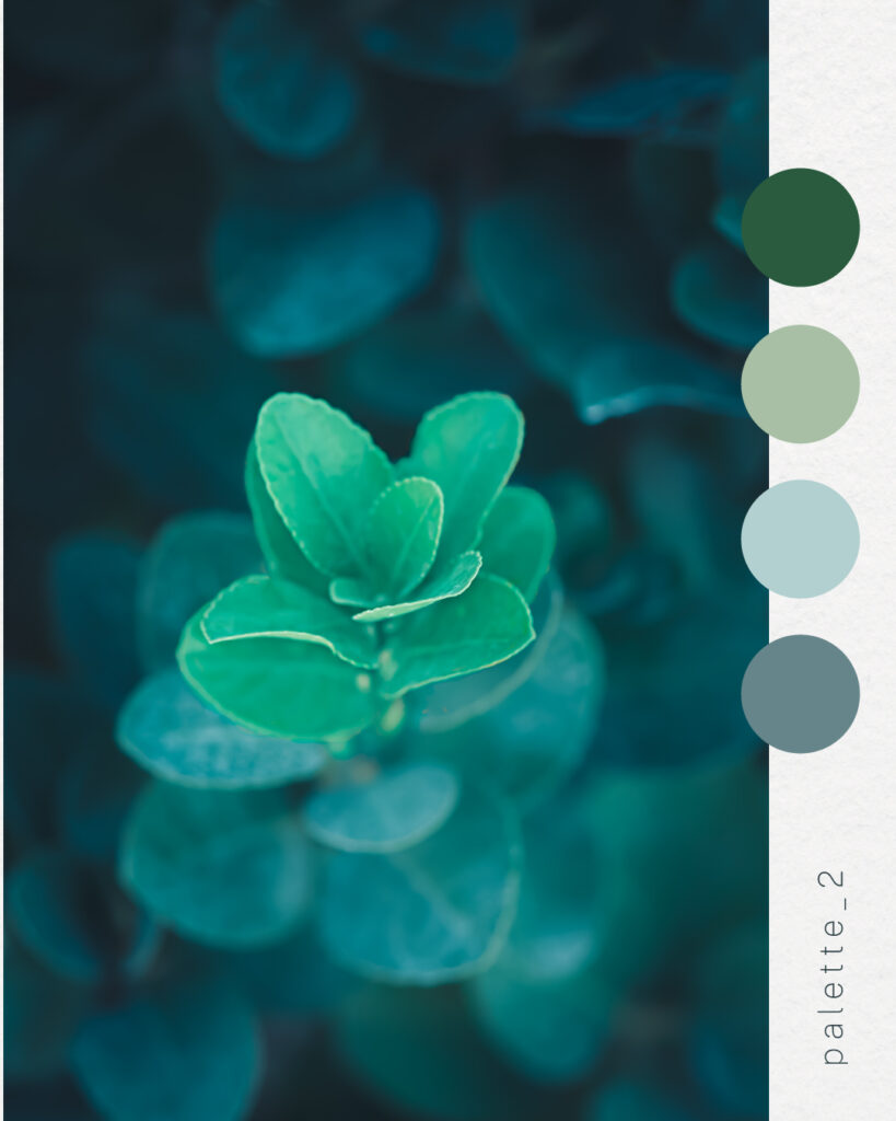 couleur-vert5 palette couleur naturelle vert signification inspiration