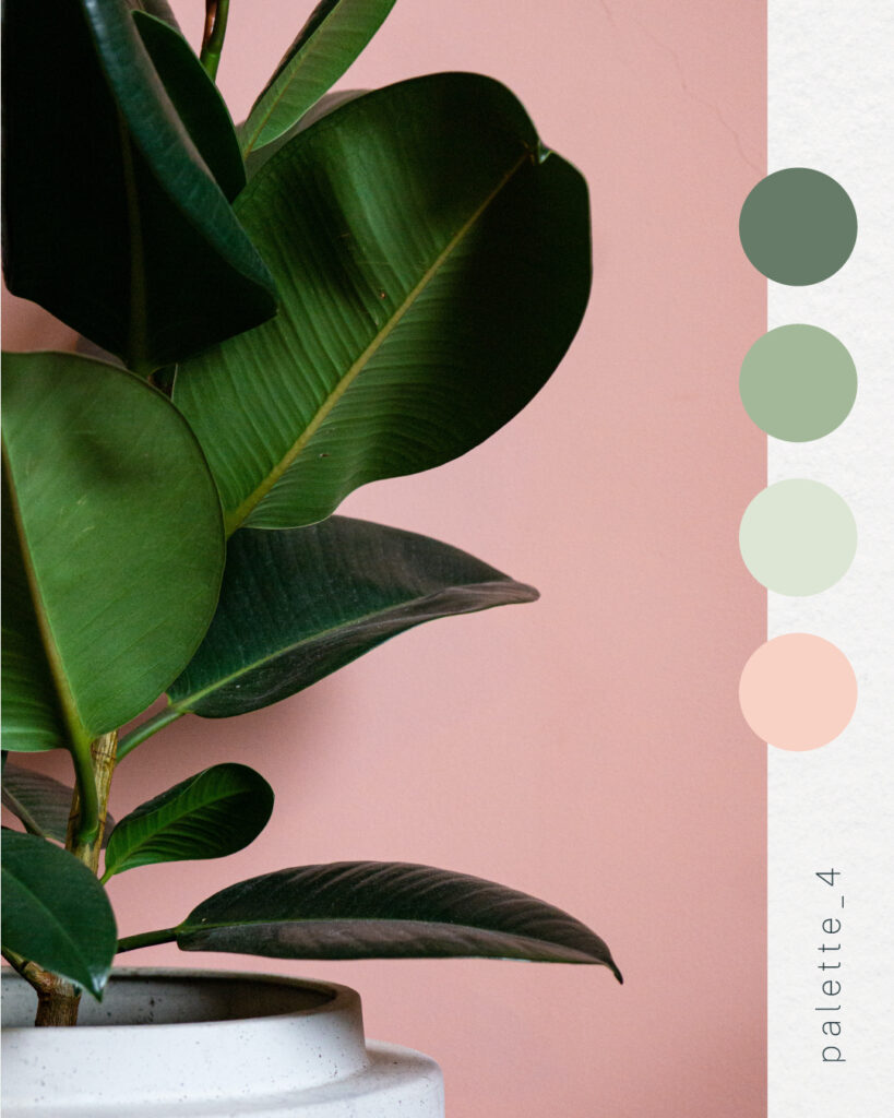 couleur-vert7 palette couleur naturelle vert rose signification inspiration