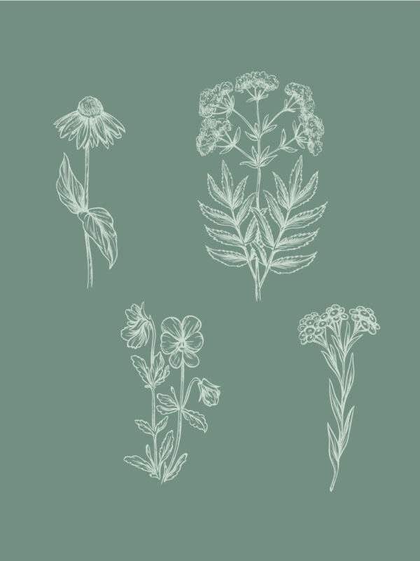 enrosesetloire-centre6 enrosesetloire-centre6