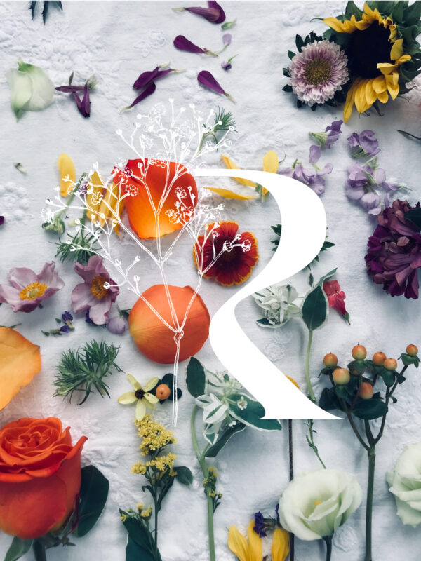 enrosesetloire-droite5 enrosesetloire-droite5