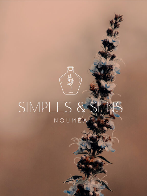 simplesetsens-droite3 simplesetsens-droite3
