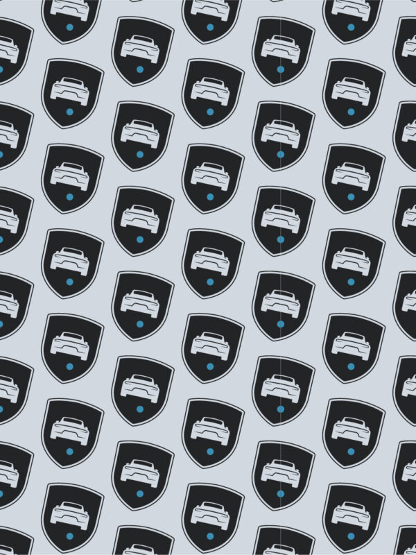 CASHFLATelements graphiques logo identite visuelle site estimation vente vehicules collection